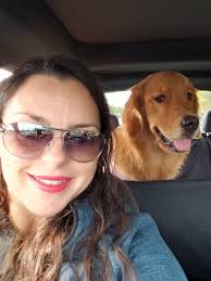 Does anyone have solutions for dog motion sickness?