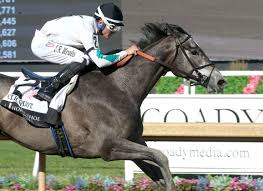 Porn modelpov emailed her few and it took a some time to