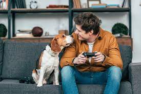 Since video game addiction treatment is so new, few clinicians know when to refer out for more intensive work. New Treatment For Gaming Addiction L Enlightened Blog