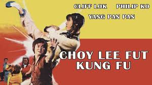 Введите адрес видео с youtube: Wu Tang Collection Choy Lee Fut Kung Fu Youtube