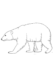 Teddy bear coloring pages for kids a teddy bear is a stuffed toy in the … 6 months ago. Coloring Pages Bear Coloring Page