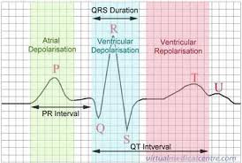 Ecg Electrocardiogram Heartbeat Monitoring Information Myvmc