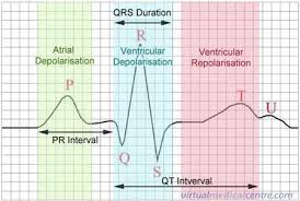 ecg electrocardiogram heartbeat monitoring information myvmc