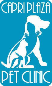 At plaza boulevard pet hospital, we take pride in our veterinary facility being clean, comfortable, and efficient. Capri Plaza Pet Clinic Home Facebook
