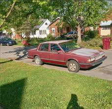 Image result for Maroon 1988 UMM