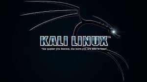 Image result for kali linux