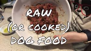 raw dog food recipe homemade cooked dog