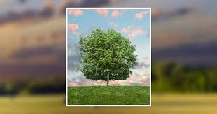 Lee Wayne Herbst, Jr. Obituary February 13, 2024