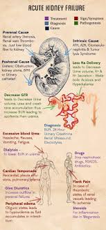 Chronic Kidney Disease Dialysis Kidneycleanse Chronic Kidney Disease Dialysis Courses Of Kidney Failure Dialysis I In 2020 Nurse Medical Education Nurse Practitioner