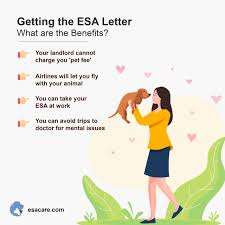 Fake emotional support animal letters. Qualifying For An Esa Letter The Ultimate 2020 Guide Esa Care