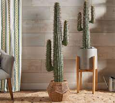 Here is an update on how the same cactus looks today, one month later; 4 Faux Cactus Plant In Pot By Valerie Qvc Com