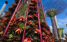 Gardens by the bay is open daily: Gardens By The Bay Grant Associates And Wilkinson Eyre Architects Archdaily