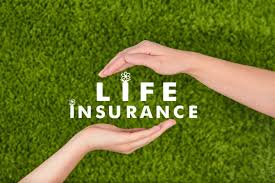 But at laya life, we do things differently. A Secondary Market For Life Insurance Using Blockchain Ledger Insights Enterprise Blockchain