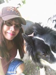 Found young border collie bitch in Lawgi Dawes area