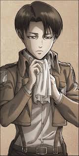 Ey walled folk, are you excited to meet the inheritor of the new and improved ,armoured titan?! Levi Ackerman Attack On Titan Levi Attack On Titan Aesthetic Attack On Titan Fanart