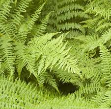 Taught Masters Programmes