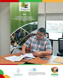 Perfil de Ong Funach