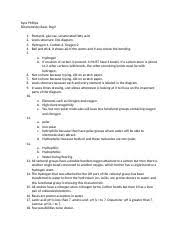 Kami Export Biochem Basics Pogil Pdf Biochemistry Basics What Concepts From Chemistry Are Helpful In Studying Biology Why Typically Chemistry Is A Course Hero