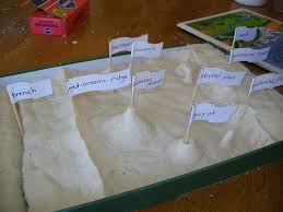 Ocean Landforms Salt Dough Map In 2020 Montessori Geography Elementary Science Childrens Science Activities