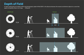 Beginner Depth Of Field Diagram Aperture Photography