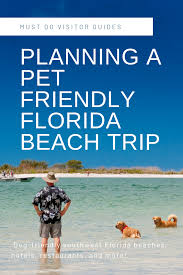 Taking A Pet Friendly Vacation To Florida Must Do Visitor Guides Pet Friendly Vacations Florida Beaches Vacation Dog Friendly Vacation