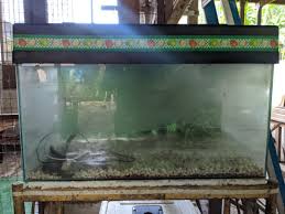 Tersedia aquarium dengan harga murah dan berkualitas, jaminan uang kembali 100% di bukalapak. Aquarium Murah Akuarium Terpakai Pet Supplies Pet Accessories On Carousell
