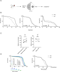 For this fruit fly trap, you will need a bottle or other kind of container with a shaker or funnel shaped top, so that flies can get in but not out. Time Restricted Feeding Prolongs Lifespan In Drosophila In A Peripheral Clock Dependent Manner Biorxiv
