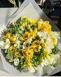 Freesia Flower Freesia Flowers Online Wedding Flowers Flowers For Sale