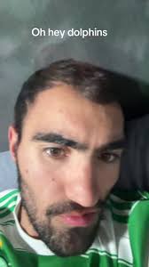 Danny Dolphin Is Calling