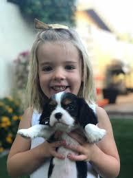 Introduction and welcome to Lost & Found Pets of KANSAS group