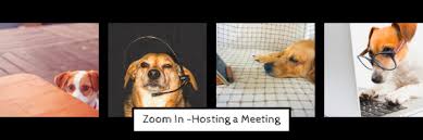 If you want to host zoom meetings, you can set up a zoom account and send invitations to others. Zoom In Hosting A Meeting