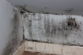Il est plus facile de faire en sorte que la moisissure ne s'incruste pas que de s'en débarrasser quand elle est là. Comment Eliminer Les Moisissures Qui Envahissent La Maison
