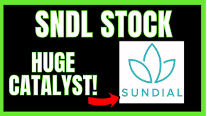We look at the recent news, chart, technical analysis and price predictions. Sndl Huge Catalyst Coming Sundial Growers Sndl Price Prediction Technical Analysis Youtube
