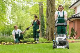 The best lawn care in mckinney, tx starts with proper mowing, blade edging and trimming around all fences, landscape beds and. 5 Signs Of A Reliable Lawn Care Provider