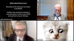 The best of the lawyer dog meme. I Am Not A Cat Lawyer Trapped By Cat Filter Tells The Judge Youtube
