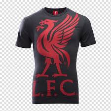 Liverpool fc emblem bird liverpool fc liverpool fc logo is a high resolution transparent png image. Liver Bird Transparent Background Png Cliparts Free Download Hiclipart