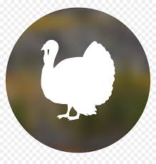 Choose any clipart that best suits your projects, presentations or other design work. Transparent Dodo Bird Png Frozen Turkey Clipart Png Png Download Vhv