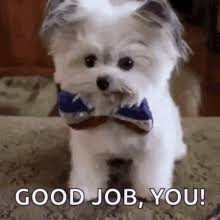 You good job work appropriate great job funny memes naturalrugs store from items tagged as funny meme. Funny Bad Day Gifs Tenor