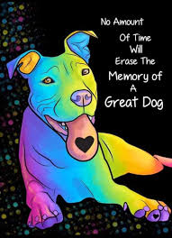 Image result for tbn:ANd9GcT9GTDvoeZslbTfRgc9SbtLfmHl15TvbB2vJ134_7_XnofUBeY3skxFMC8:https://www.doglife.sitew.com/fs/Root/5vdf8-5615663_chien_malade_sur_le_c_t_et_sur_fond_blanc.jpg