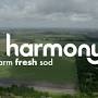 Harmony Home from harmonybrands.com