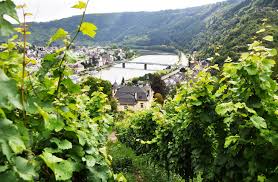 20m vom ferienhaus entfernt befindet sich der bäcker mit kleinem lebensmittelgeschäft. T 8 Around The Wolfer Mountain Hiking Route Outdooractive Com