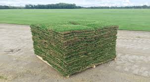 how many square feet are on a pallet of sod sod solutions