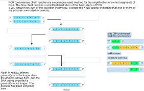 solved pcr polymerase chain reaction is a commonly used