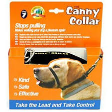 What is the best flea collar for puppies? Buy Canny Collar Size 5 15 49 Selling Fast