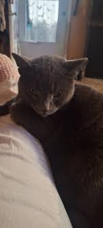 He's not as upset as he looks