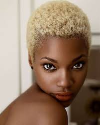 More Than 100 Short Hairstyles For Black Women Hair Theme