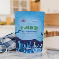 Premium Organic Plant Based Protein Powder Vanilla Chai Superfood 9EAA 20g  Plant Protein per Serving Super Herbs No Added Sugar