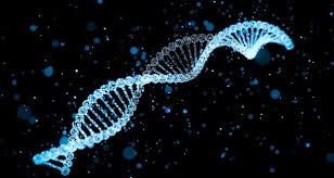 Deoxyribonucleic acid is a molecule composed of two polynucleotide chains that coil around each other to form a double helix carrying genetic instructions for the development, functioning. Why Did I Risk My Privacy With Home Dna Testing