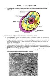 Check spelling or type a new query. Topic 2 3 Eukaryotic Cells