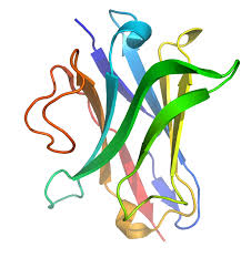 Single Domain Antibody Wikipedia